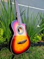 /album/fotogaleria-ukuleles-monterrey-fundas/252363533-2975999452666502-6580512747636018664-n-jpg/